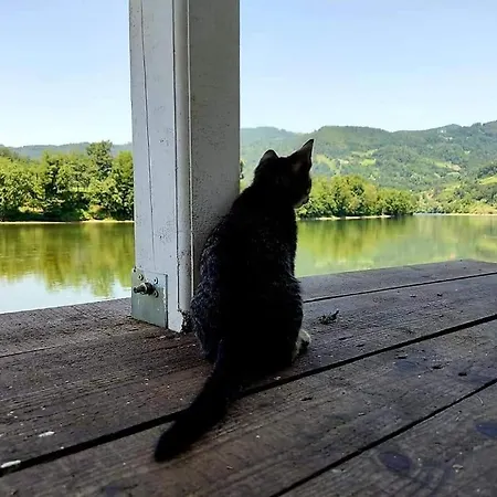 Prázdninový dům Brvnara Drina Wooden House Drina Drlace