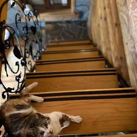 Brvnara Drina Wooden House Drina