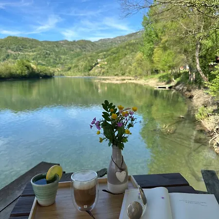 בית נופש Brvnara Drina Wooden House Drina