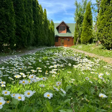 בית נופש Brvnara Drina Wooden House Drina Drlace